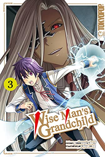 Wise Mans Grandchild vol 3
best magic light novels