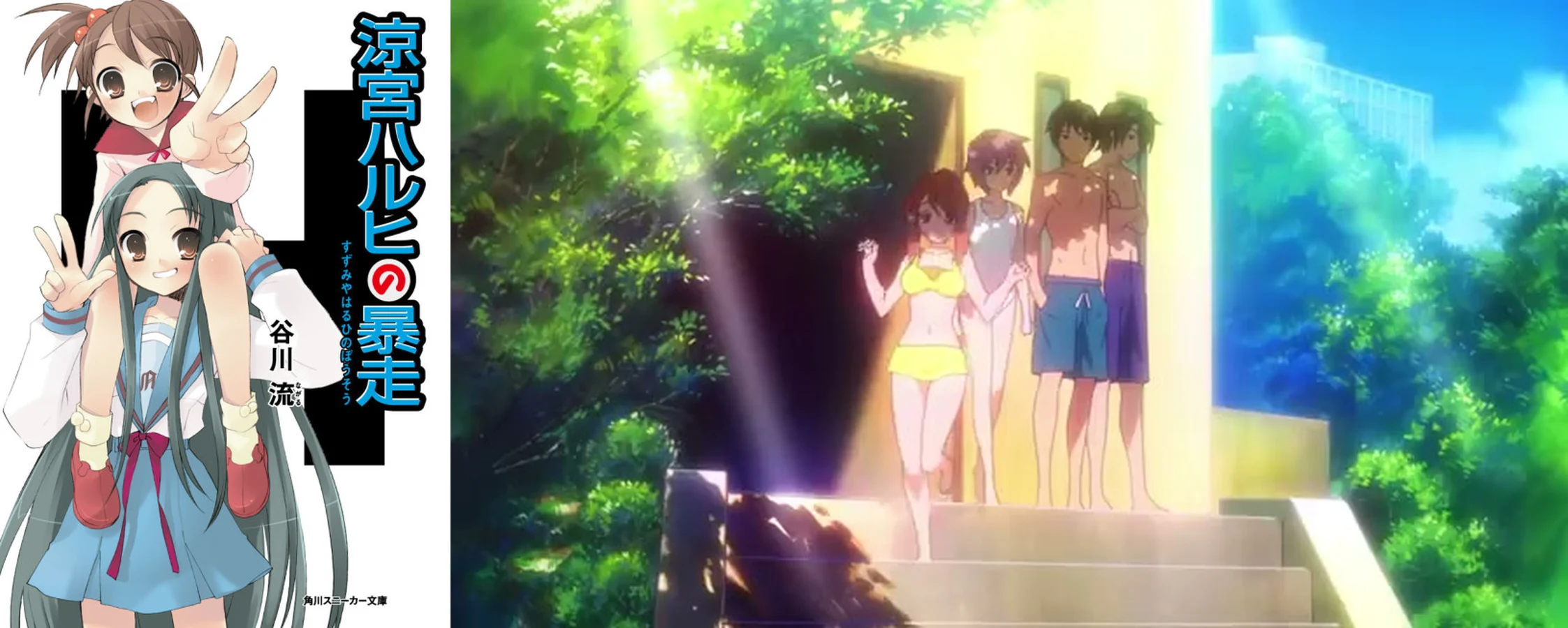 Haruhi Suzumiya Vol. 5 Rampage cover beside Endless Eight pool scene